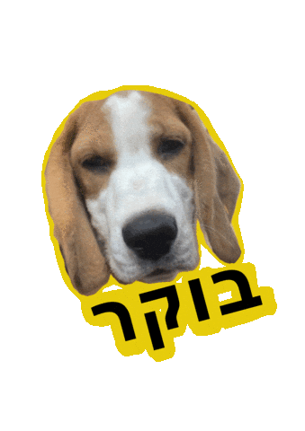 Animated Sticker