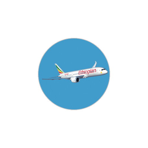 Travel Sticker by Ethiopian Airlines Italy