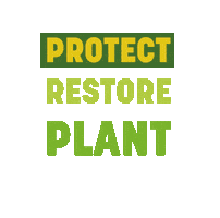 Jane Goodall Institute USA Sticker