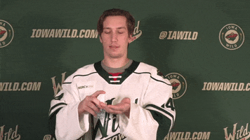 Des Moines Yes GIF by Iowa Wild