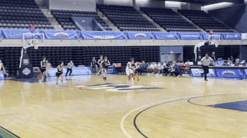 Sport Basketball GIF by bryant@giphy