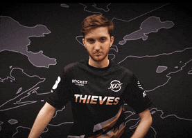 Serious No Way GIF by 100 Thieves