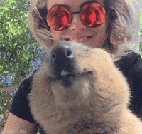 You Mad Gifs Get The Best Gif On Giphy