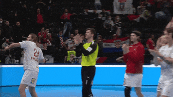 Hair Handball GIF by EHF