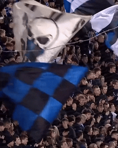Jan Breydel Fans GIF by Club Brugge