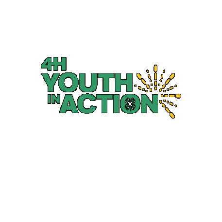 Youth In Action Sticker by 4-H