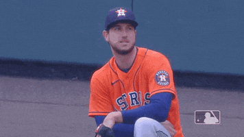 Houston Astros Smile GIF by MLB