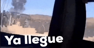 Ya Llegue GIF by coralillo