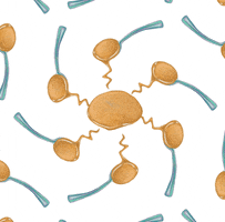 Spread The Love Foods GIF