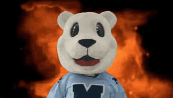 Polar Bear Fire GIF by Mimico Lacrosse