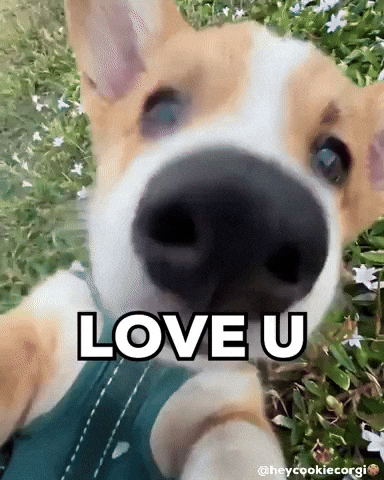 I Love You Kiss GIF