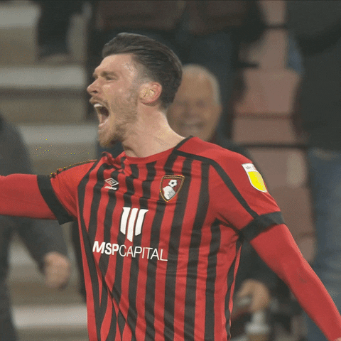 Celebrate Kieffer Moore GIF by AFC Bournemouth