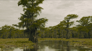 Music Video GIF