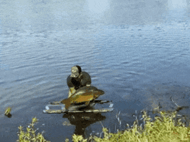 CarpDeal GIF