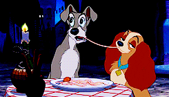 Romantic Lady And The Tramp GIF - Find & Share on GIPHY