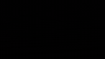 Video GIF