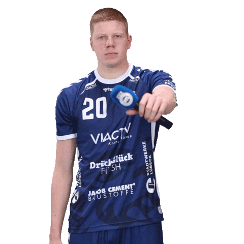 VfL Lübeck-Schwartau Sticker