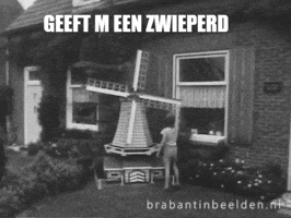Brabant GIF by BrabantinBeelden