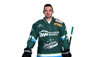 Bietigheim Steelers Sticker