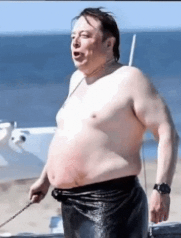 Elon Musk GIF by Achiloid
