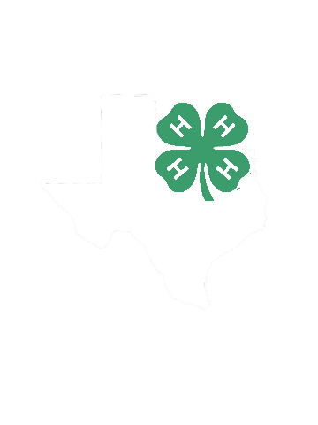 Texas 4-H Sticker