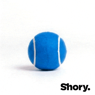 Petinsurance GIF by getShory