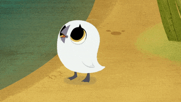 #puffin #rock #puffinrock #baba #spinning #dizzy #puffling GIF by Puffin Rock