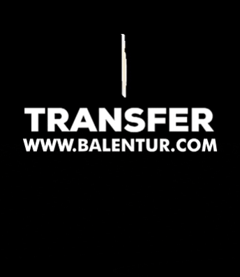 Web Site Vip GIF by BALENTUR