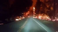 california wildfires GIF