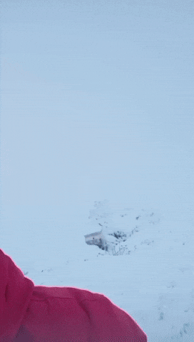 Snow Winter GIF by ALI D (FOREALID)