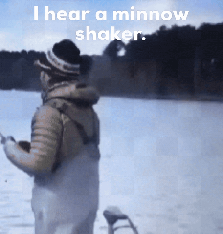 Bassmaster Livescope GIF