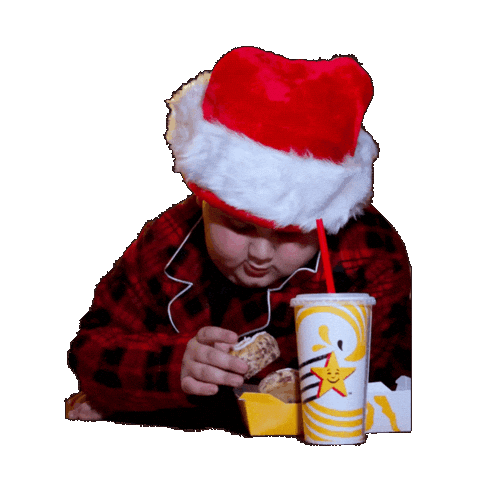 Rizzler Sticker by Hardee's