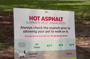 Heat Wave GIF by GIPHY News
