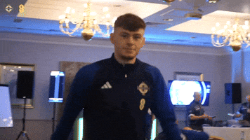 Liverpool Fc Smile GIF by Northern Ireland