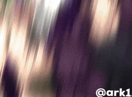 Toji Fushigoro GIF