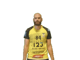 Sport Handball Sticker by Hazebrouckhandball