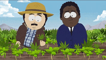 Steve Black Weed GIF by South Park