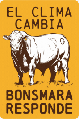 Toro Vaca GIF by Bonsmara Argentina