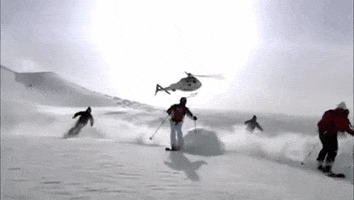 Amazon Creek GIF