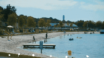 Fun Beach GIF