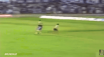 Palestra Italia Cruzeiro GIF