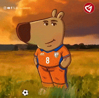 Indian Football GIF