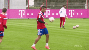 no problem hit GIF by FC Bayern Munich