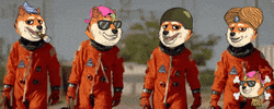 To The Moon GIF by The Doge Pound