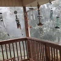 Wind Charms Feel Force of Nature as Storm Lashes North Carolina