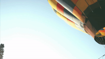 TOEFL_MADRID sat toefl toeic GIF