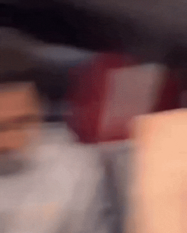 Crvena Zvezda Kkcz GIF