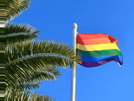 Rainbow GIF
