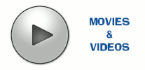 100.gif?cid=3640f6095bb980195133486973f22882
