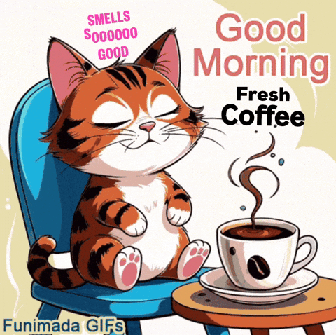 Good Morning Cat GIF